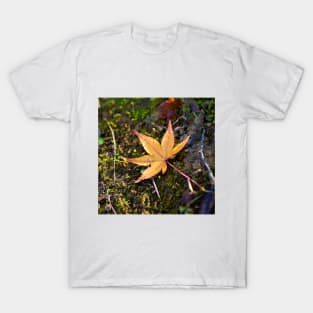 Photography - Lonely leaf T-Shirt